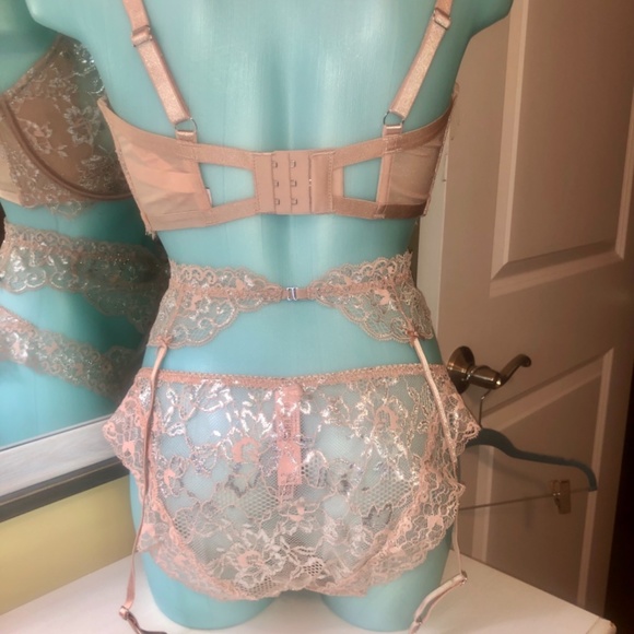 Victoria’s Secret Allure Shine Evening Blush Bra /Garter/Cheekini Set NWT 38DDD - Picture 4 of 14